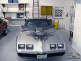 Miami Muscle - 1979 TRANS AM